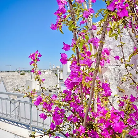 Holiday home Casa Giulia House